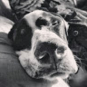 Meet your Posher, Tim